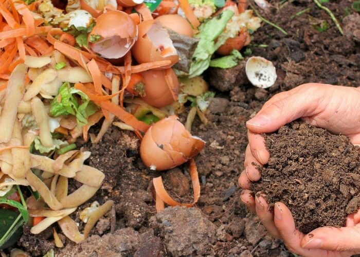 Tehnologija koja ostatke hrane pretvara u supstrat bogat nutrijentima